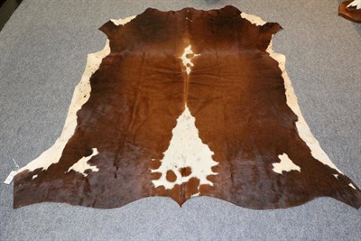 Lot 9 - Taxidermy: Nguni Cow Hide (South Africa) modern, AA Grade Excellent Quality, Nguni skin floor...