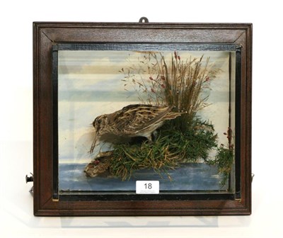 Lot 18 - Taxidermy: Jack Snipe (Lymnocryptes minimus) circa 1920, in the manner of H Murray of...