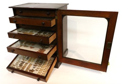 Lot 20 - Entomology: A Late 19th/Early 20th Century Specimen Chest Containing a Varied Collection of...
