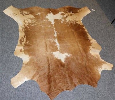 Lot 58 - Taxidermy: Nguni Cow Hide (South africa) modern, AA Grade Excellent quality, Nguni skin floor...