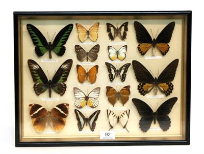 Lot 92 - Entomology: Framed Asian Butterflies, circa 1980, a framed collection of sixteen various Asian...