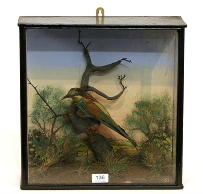 Lot 136 - Taxidermy: European Bee-Eater (Merops apiaster) circa 1920, full mount perched upon a branch...