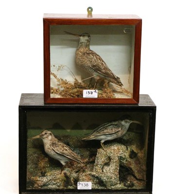 Lot 138 - Taxidermy: A Victorian Cased Pair of Jack Snipe (Lymnocryptes minimus), a pair full mounts...
