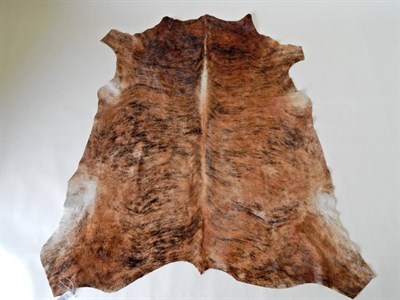 Lot 34 - Taxidermy: Nguni Cow Hide (South Africa), modern, AA Grade, Excellent quality, Nguni skin floor rug