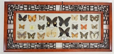 Lot 82 - Taxidermy: An Oriental Style Framed Collection of 22 Various Asian Butterflies, including...
