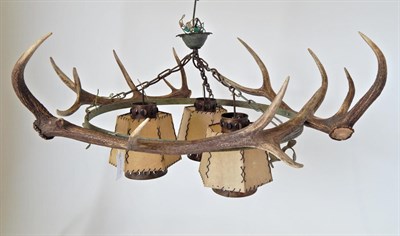 Lot 88 - Taxidermy: Red Deer Antler Mounted Chandelier, constructed from a central metal ring with leaf...