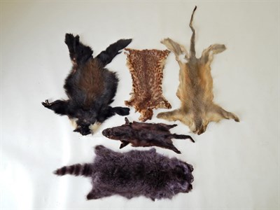 Lot 194 - Taxidermy: Five Various Animal Skins, to include two monkey skins , one black mink, genet skin,...