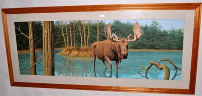 Lot 209 - Simon Turvey (b.1957) Canadian Moose Signed, watercolour and bodycolour, 48.5cm by 141cm,...