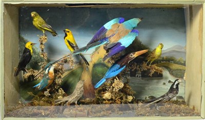 Lot 2 - A Cased Collection of Various Birds, circa early 20th century, to include Kingfisher, Pied Wagtail