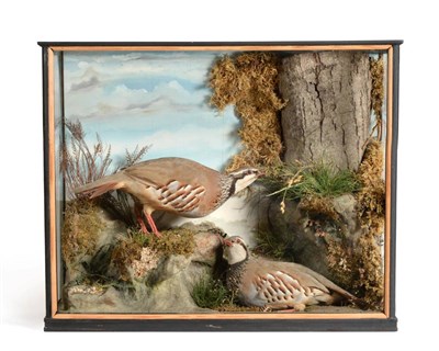 Lot 9 - French Partridge (Alectoris rufa), circa late 20th century, two full mounts, one stood upon a...