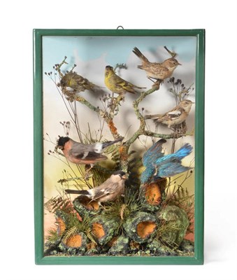 Lot 13 - Cased Taxidermy Display of Birds, circa late 20th century, to include: Common Kingfisher, a pair of