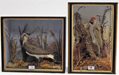 Lot 15 - Cased Green Woodpecker (Picus viridis), by W Bazeley, Animal, Bird and Fish Preserver, Northampton
