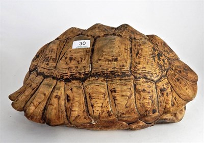 Lot 30 - A Leopard Tortoise (Stigmochelys pardalis), circa 1976, large female full shell with partial...