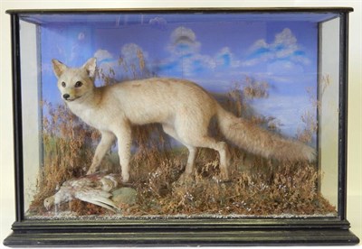 Lot 86 - Fox (Vulpes vulpes), late Victorian, full mount with Partridge prey, stood upon faux rocks with...