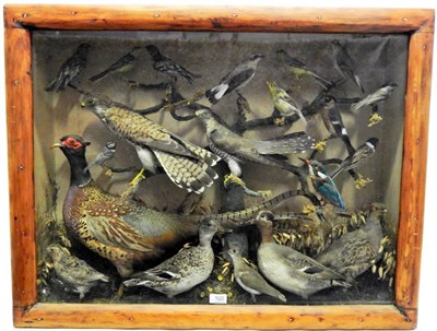 Lot 99 - A Large Taxidermy Display of Twenty Various British Birds, circa 1920 to include: Pheasant, pair of