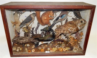 Lot 107 - A Cased Taxidermy Display of Various Animals, Birds, Insects and Fauna, circa 01st January 1877, By