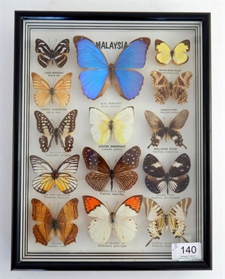 Lot 140 - Three Framed Collections of Tropical Butterflies, to include: Red Helen, Blue Ulysses, Malayan...
