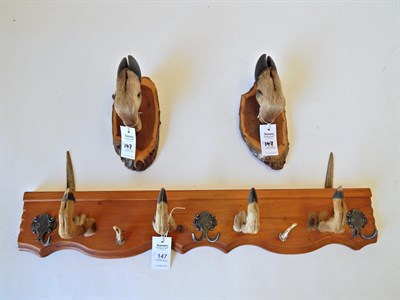 Lot 147 - Roe Deer Coat Hook, four Roe deer slots and two antler tips mounted as coat hooks, attached to...