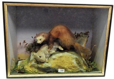 Lot 199 - A Taxidermy Cased Ferret on Rabbit Prey, circa 1920, full mount ferret with head turning to the...