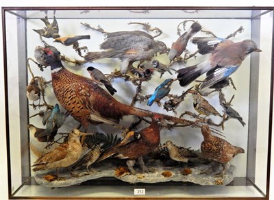 Lot 212 - A Large Cased Taxidermy Display of Twenty Four Various  Birds, circa 1930, to include: Common...