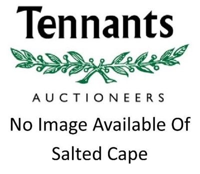 Lot 20 - Common Eland (Taurotragus oryx), circa August 2016, salted cape shoulder mount skin with green game