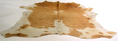 Lot 29 - Nguni Cow Hide (Bos taurus), modern, excellent quality AA grade caramel brown and white pied...