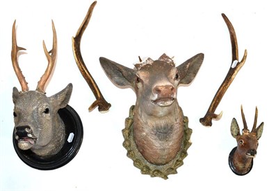 Lot 36 - Three Austro-German Terracotta Deer Heads, to include Red Deer shoulder mount on shield (with loose