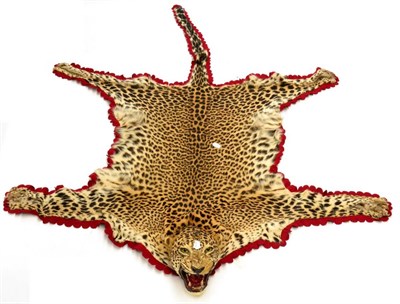 Lot 49 - Leopard (Panthera pardus), circa 1945, skin rug with head mount, with open jaw, attached to a...