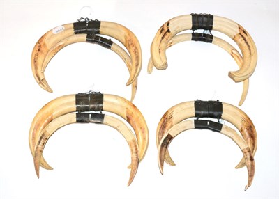 Lot 75 - Warthog (Phacochoerus africanus), four sets of tusks with white metal mounts