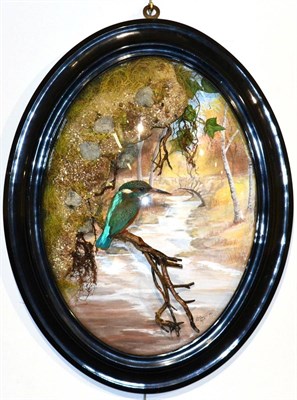 Lot 101 - Common Kingfisher (Alcedo atthis), circa 2009, by A J Armitstead, full mount, perched upon a branch