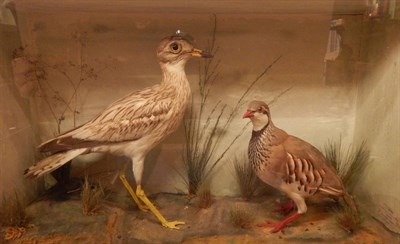 Lot 137 - Stone Curlew (Burhinus oedicnemus) and Red-Legged Partridge (Alectoris rufa), circa 1900, by J...