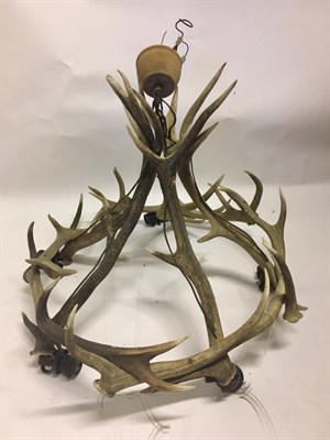 Lot 33 - European Red Deer Chandelier (Cervus elaphus), five-light antler constructed ceiling...