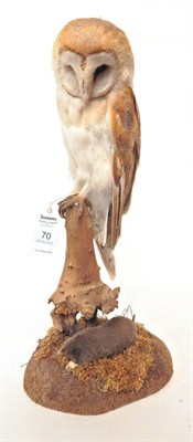 Lot 70 - Barn Owl (Tyto alba), circa 1990, full mount sat upon a tree stump with a mole beneath, overall...