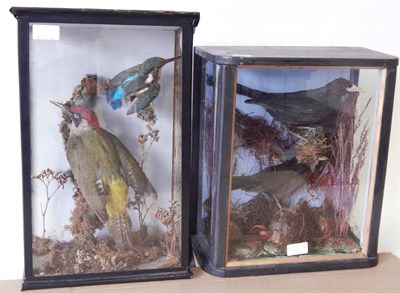 Lot 80 - Green Woodpecker (Picus viridis) and Common Kingfisher (Alcedo atthis), Victorian, both full mounts