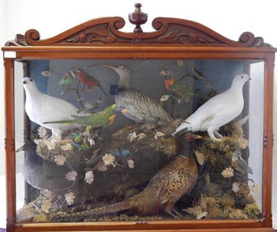 Lot 84 - A Late Victorian Collection of Twenty-One Various Birds, comprising Moorhen, Pheasant, Curlew, Tree