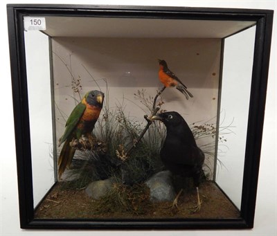 Lot 150 - A Victorian Taxidermy Display of Birds Native To Australia, to include: Satin Bower Bird,...