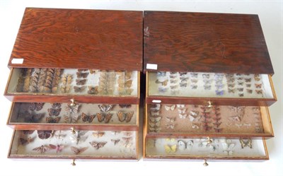 Lot 202 - Moths and Butterflies, circa 1930-50, contained in two three-drawer oak collector's chests,...