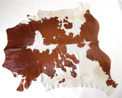 Lot 208 - Nguni Cow Hide (Bos taurus), modern, excellent quality AA grade brown and white pied pattern...