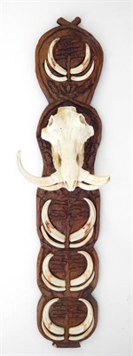 Lot 233 - Warthog (Phacochoerus africanus), male, upper and lower skull, right tusk 28cm, on carved wood...