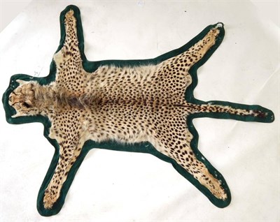 Lot 266 - Cheetah (Acinonyx jubatus), circa 1930, by Gerrard, flat skin rug  with green baize backing,...