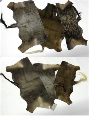 Lot 178 - Blue Wildebeest (Connochaetes taurinus), four prepared tanned back skins; and A Black...