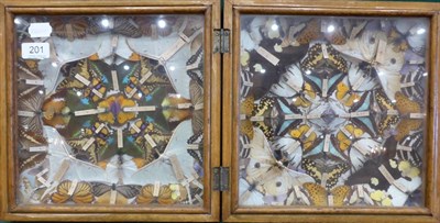 Lot 201 - A Collage of Foreign Butterflies, circa 1880-1900, set in patterns (some labelled) in a...