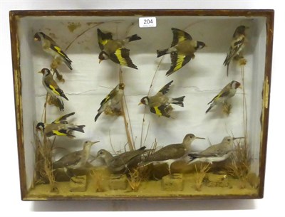 Lot 204 - A Group of Thirteen Taxidermy Birds, circa 1900, including eight Goldfinches and four wading birds