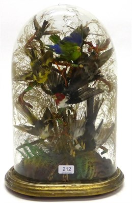 Lot 212 - A Display of Eight Victorian Exotic Birds, beneath a glass dome, perched and swooping amongst mossy