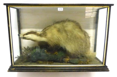 Lot 218 - Badger (Meles meles), full mount, circa 1920, standing on a faux part tree trunk section...