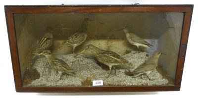 Lot 226 - A Late Victorian Case of Six Small Game and Wading Birds, including Snipe and Sanderling, on...