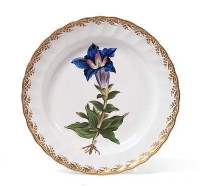 Lot 22 - A Derby Porcelain Botanical Dessert Plate, circa 1795, painted with a specimen of  "Gentiana...