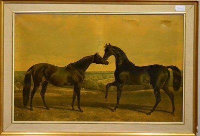 Lot 2066 - English School 19th Century, after J J Herring - Thoroughbred Stallions - Sir Hercules and...