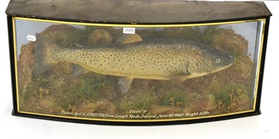 Lot 2095 - A Cased Taxidermy Brown Trout, preserved and mounted amidst reeds and grasses, in an ebonised...