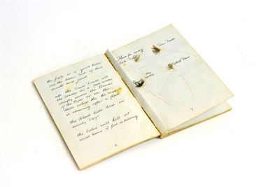Lot 2188 - George Butcher - A Facsimile Book of Flies 1875, cloth bound facsimile of a manuscript diary...